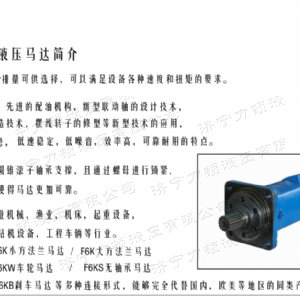 BM6剎車(chē)系列馬達(dá)